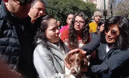 Veterinaria clandestina ubicada en la Condesa secuestra a perrito