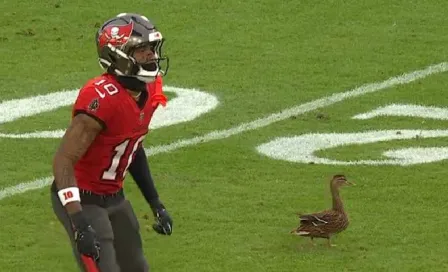 Invitado inesperado se lleva los reflectores durante el duelo entre Tampa Bay y Carolina