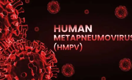 Gobierno de México descarta riesgo por el metapneumovirus