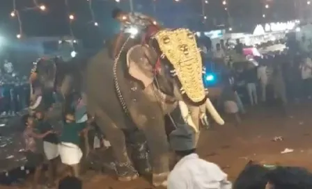 VIDEO: Elefante se sale de control en la India; hay 23 personas heridas 