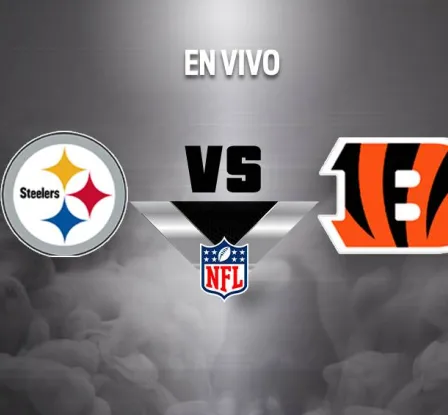 Pittsburgh Steelers vs Cincinnati Bengals EN VIVO NFL Semana 18