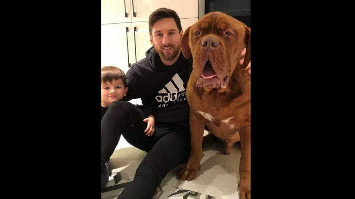 Hulk. O cão de Messi que faz furor nas redes sociais – Observador