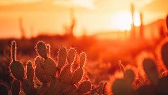 El fenómeno natural provocó altas temperaturas en todo el mundo.