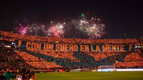 Aficionados de Tigres desataron la violencia tras la eliminación en la Liguilla