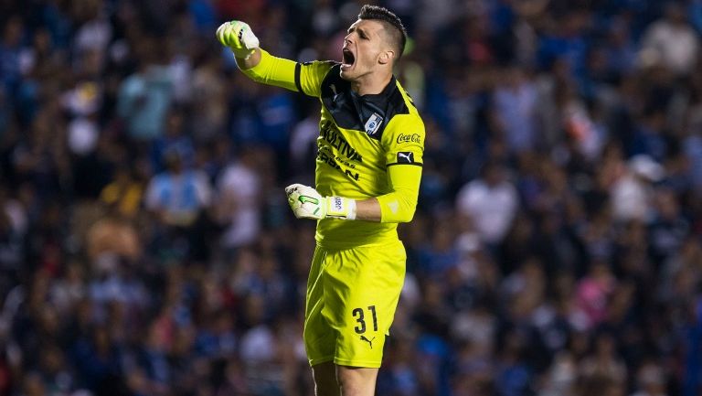 Volpi festeja un gol de Gallos