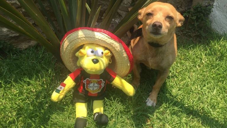 Brian posa con un perro chihuaheño en México