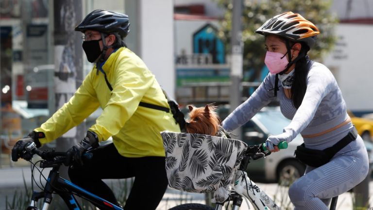 Coronavirus en México