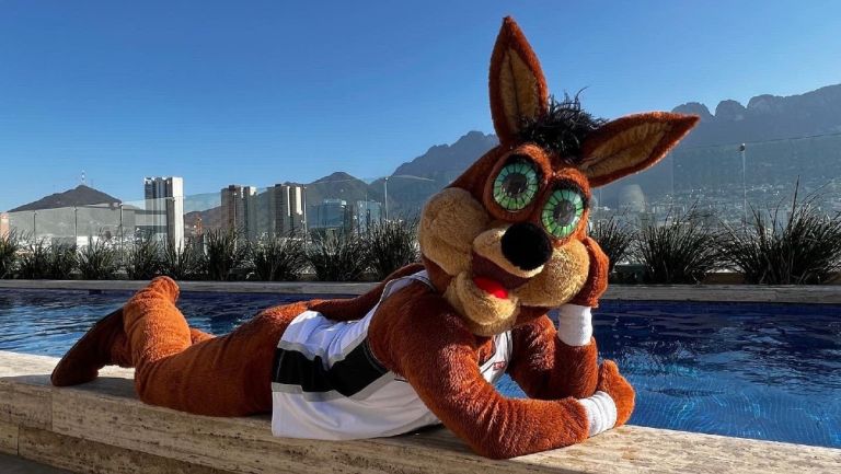 Coyote, mascota de los Spurs de San Antonio de la NBA