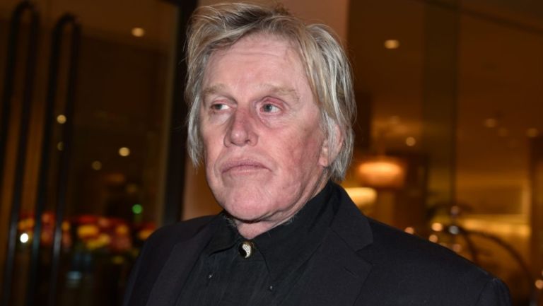 Gary Busey fue acusado de delitos sexuales