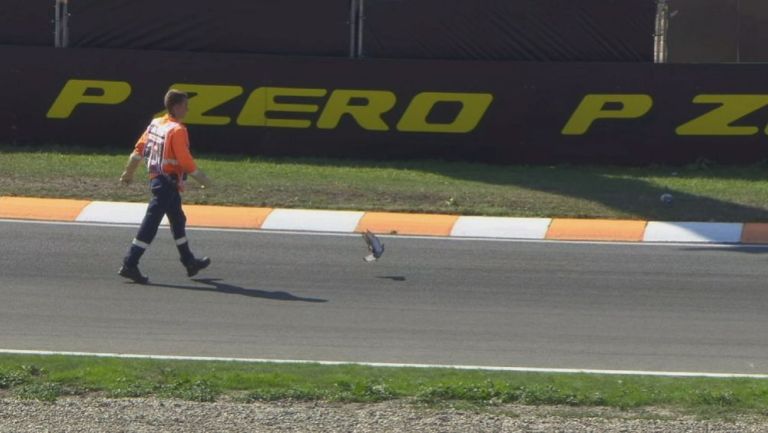 El personal de la F1 tuvo que retirar a las aves 