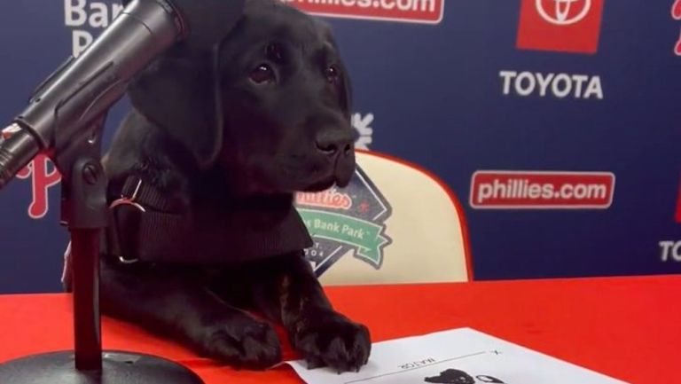 Major, el nuevo pup-in-training de los Phillies, apoya a los veteranos con discapacidades físicas y psicológicas