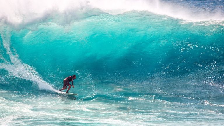 Surfista muere por ataque de tiburón en Australia 