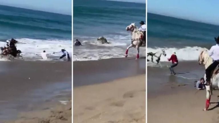 Los caballos lograron salir de las olas del mar 