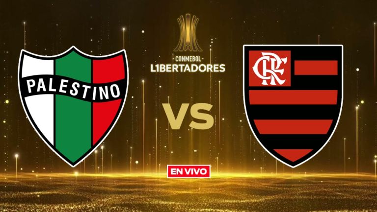 Palestino vs Flamengo EN VIVO ONLINE