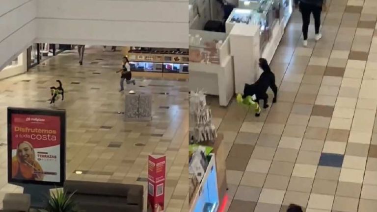 ¡Asalto perrón! Captan en video a perrito que se robó un peluche de centro comercial 