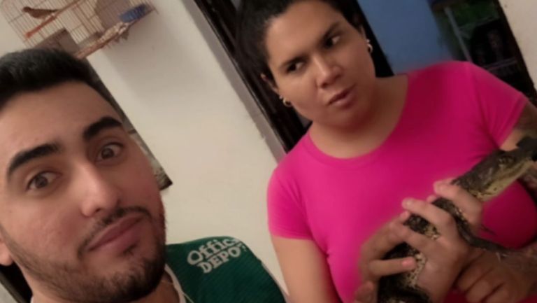 El esposo de Kimberly Irene le ha regalado un cocodrilo como mascota