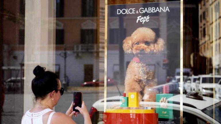 Dolce & Gabbana lanza perfume para perros 