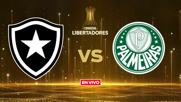 Botafogo vs Palmeiras EN VIVO Copa Libertadores Octavos de Final Ida