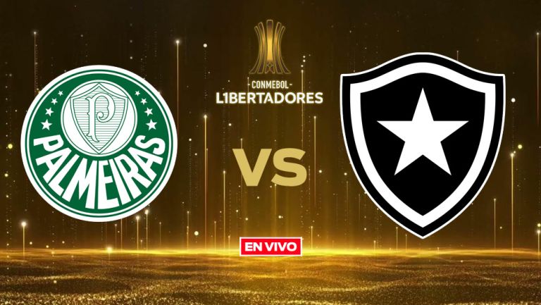 Palmeiras vs Botafogo EN VIVO Copa Libertadores Octavos de Final Vuelta