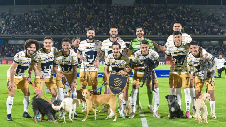 Pumas se unió a la campaña para la adopción de perritos