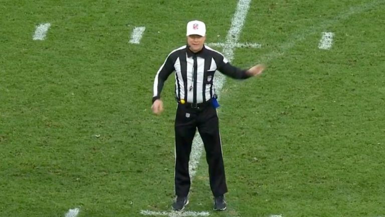 Shawn Hochuli en el Panthers vs Giants